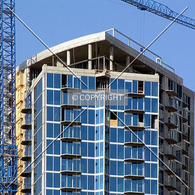 Avenue by Chris Patriarca