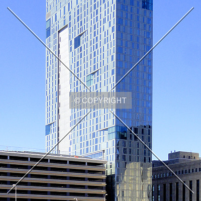 The Evo by Chris Patriarca