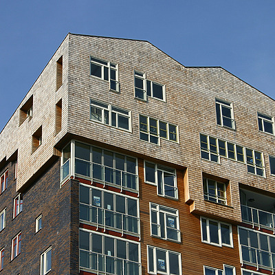 De Steven by Michiel van Dijk