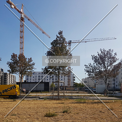 SOLID Home by Nephilim