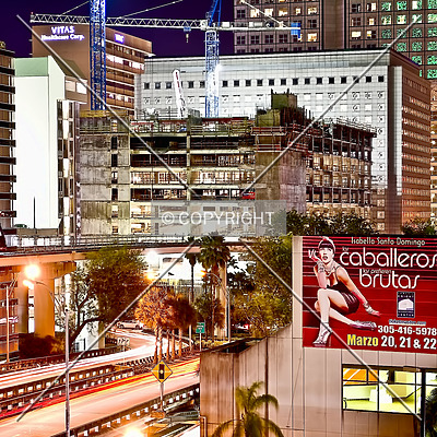 Monarc at Met 3 by Jorge Molina