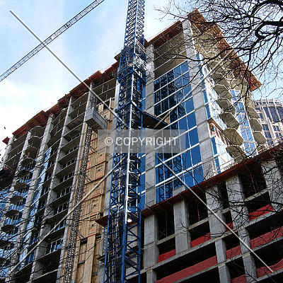 Avenue by Chris Patriarca