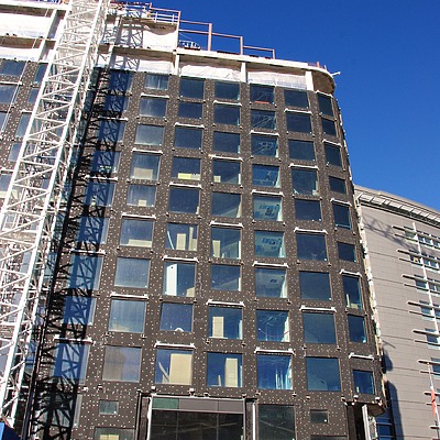 Populus by Brian LoBue