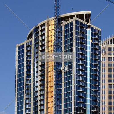 Avenue by Chris Patriarca