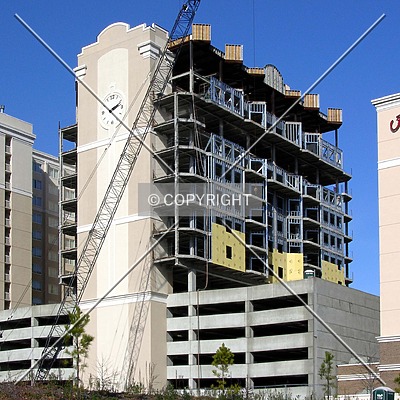 The Madison Charlotte by Chris Patriarca