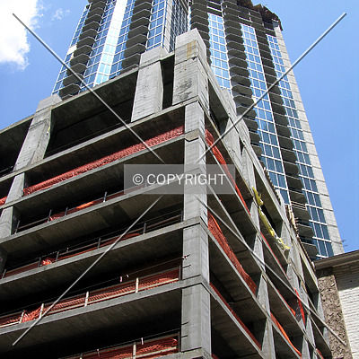 Avenue by Chris Patriarca