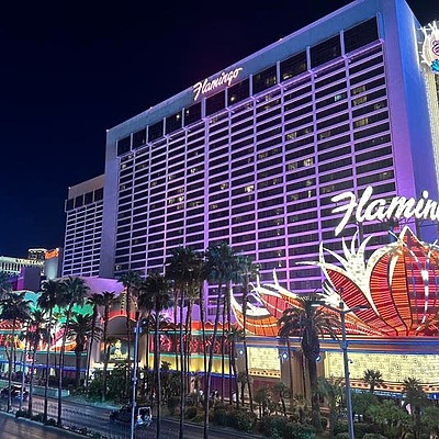 Flamingo Las Vegas by Julie Tremaine