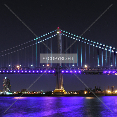 Benjamin Franklin Bridge by Lizzie Morrison