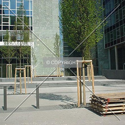 Herriot´s by Nephilim