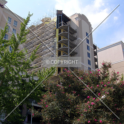 The Madison Charlotte by Chris Patriarca