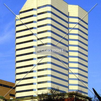 Lyric Centre by Chris Patriarca