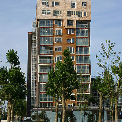 De Steven by Michiel van Dijk