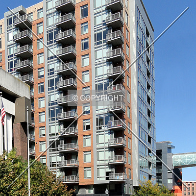 The Cameron by Chris Patriarca