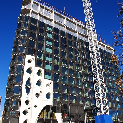 Populus by Brian LoBue