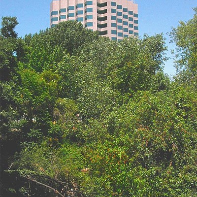 River Park Tower I by Jim Schwartz