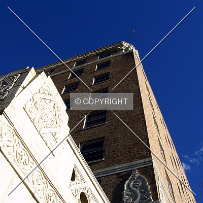 Forrest Hotel by Chris Patriarca