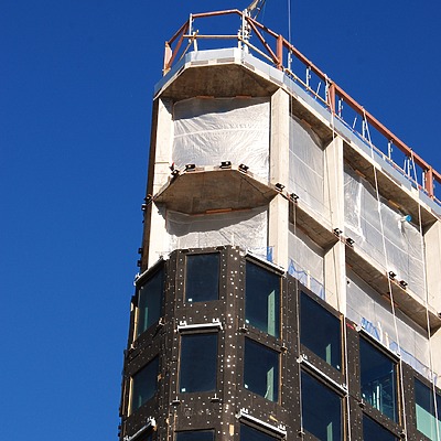 Populus by Brian LoBue