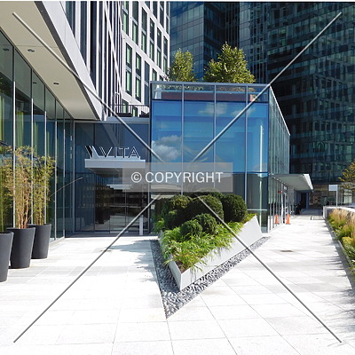 Vita by Chris Patriarca