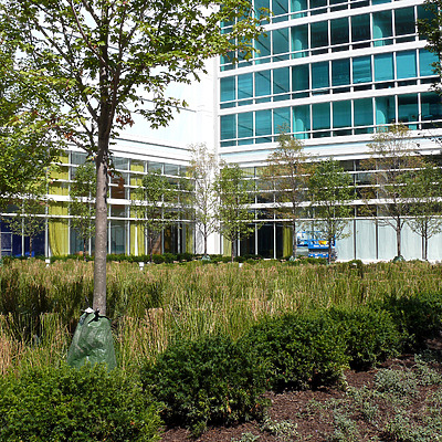 Streeter Place by B. Victor Adams