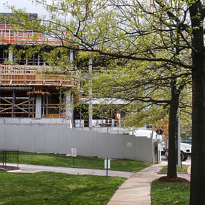 Maryland Walk by Daniel Kieckhefer