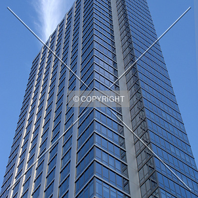 The Link by Royce Douglas