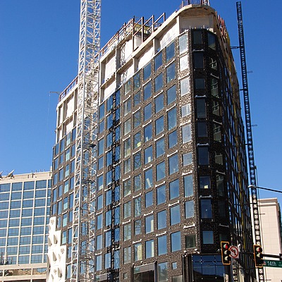 Populus by Brian LoBue