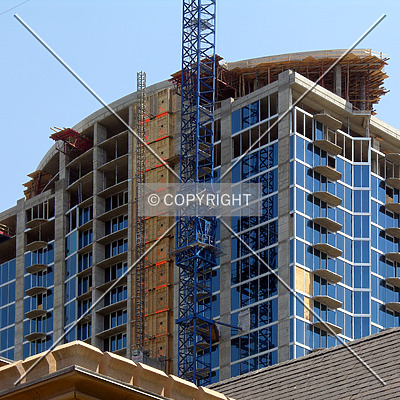 Avenue by Chris Patriarca