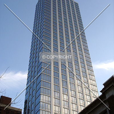 The Link by Royce Douglas