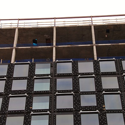 Populus by Brian LoBue