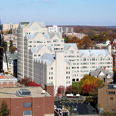 Canterbury Green by John Cahill
