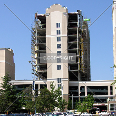 The Madison Charlotte by Chris Patriarca