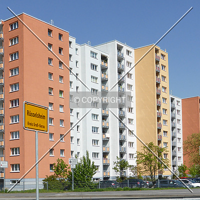 Dicker Busch by Nephilim