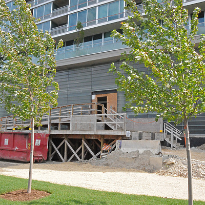 Optima Old Orchard Woods by Shawn Ursini