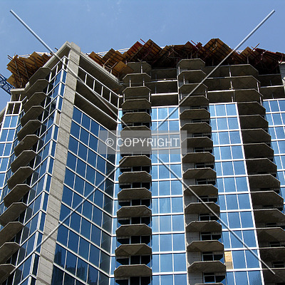 Avenue by Chris Patriarca