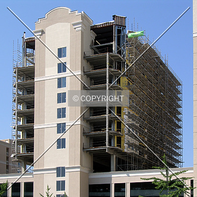 The Madison Charlotte by Chris Patriarca