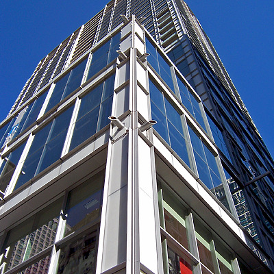 MoMo by Shawn Ursini