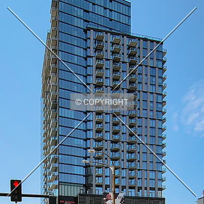 One Cardinal Way by Ryan Hildebrand