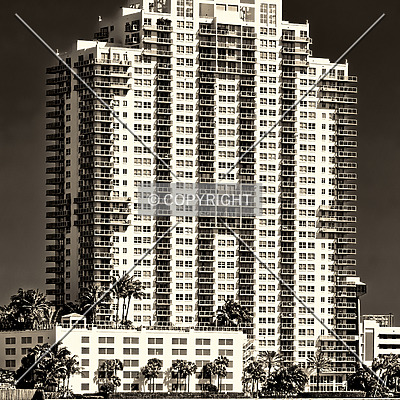 The Floridian by Jorge Molina