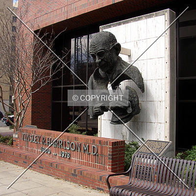 Tinsley Harrison Research Tower by Chris Patriarca