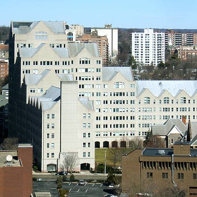 Canterbury Green by John Cahill