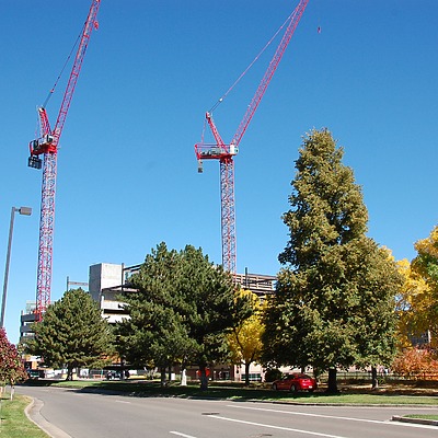 50 Fifty DTC by Brian LoBue