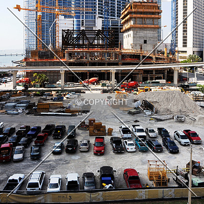 Monarc at Met 3 by Jorge Molina