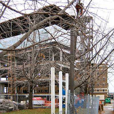 Indianapolis-Marion County Central Library by James Peacock