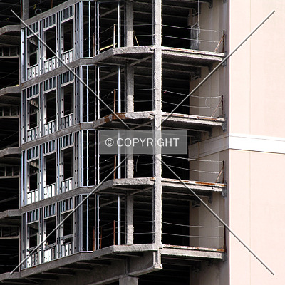 The Madison Charlotte by Chris Patriarca