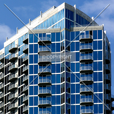 Avenue by Chris Patriarca