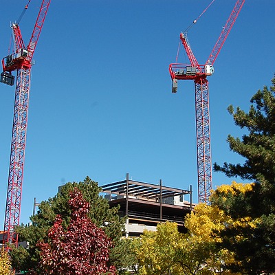 50 Fifty DTC by Brian LoBue