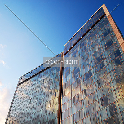 Standard Hotel by Royce Douglas