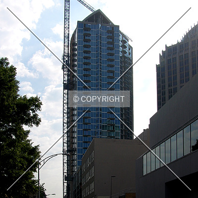 Avenue by Chris Patriarca