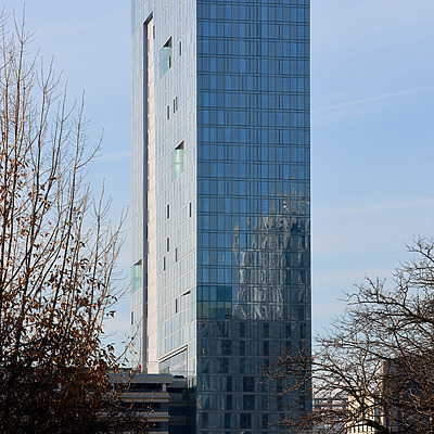 The Evo by John W. Cahill