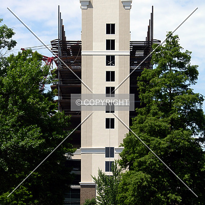 The Madison Charlotte by Chris Patriarca